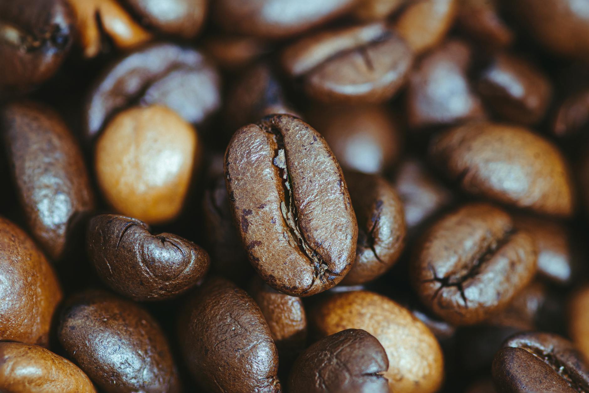 Geröstete Kaffeebohnen — Mara Sortiment